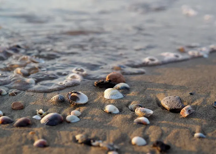 Apartmán With Shared Garden And Swimming Pool Bibione